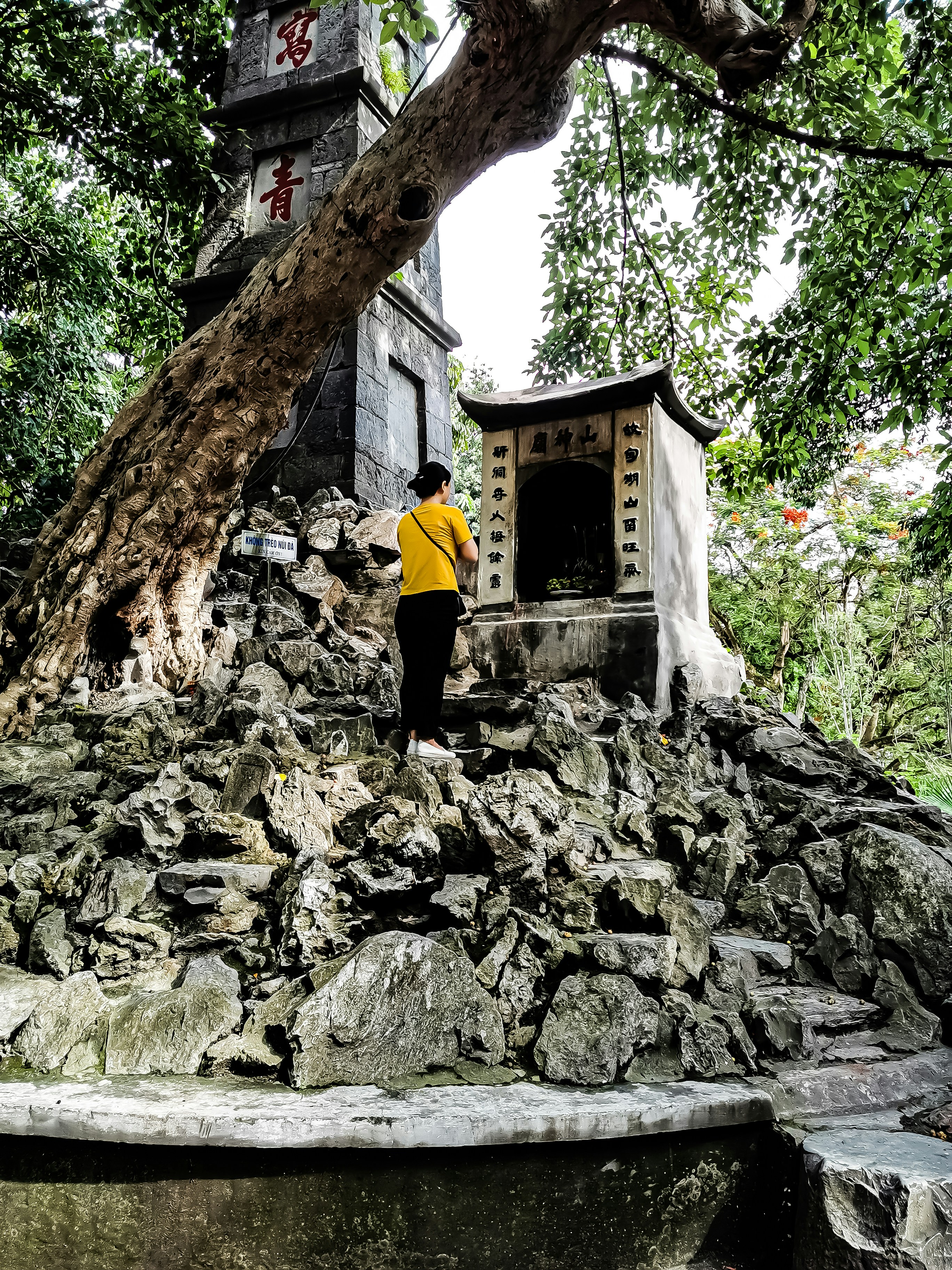 man in yellow shirt and black pants standing on rocky ground
