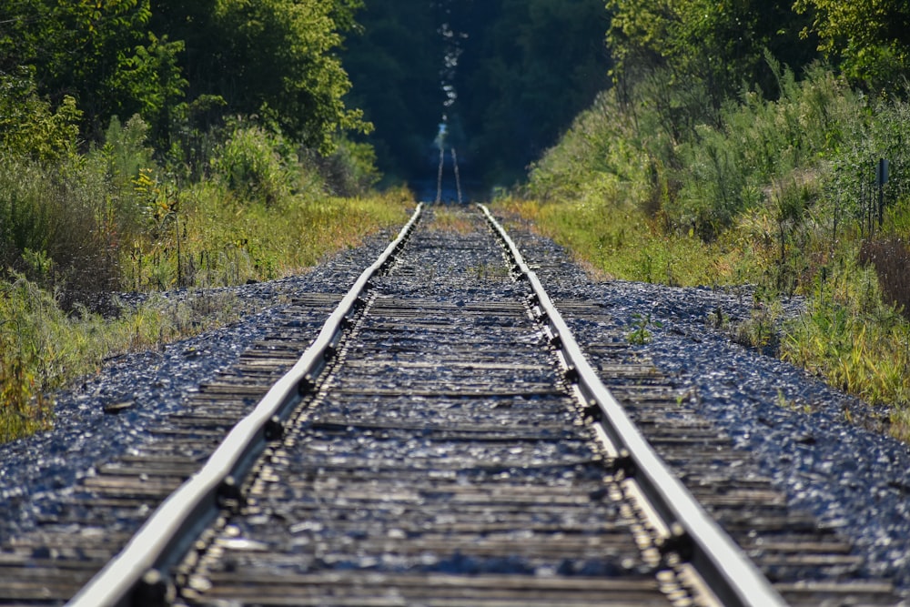gray train rail between green grass during daytime