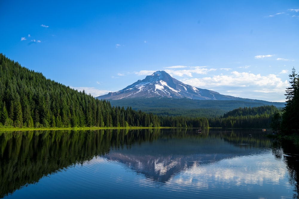 green trees near lake and mountain under blue sky during daytime