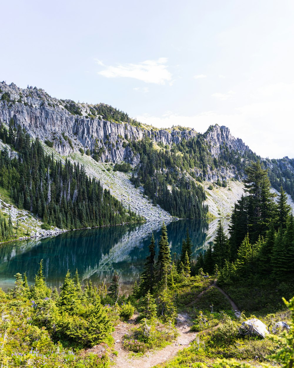 green pine trees on mountain under white clouds during daytime