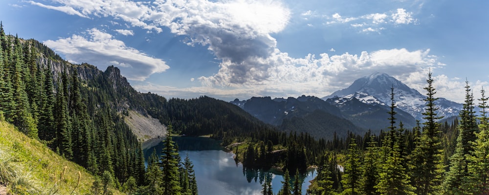 arbres verts près du lac sous les nuages blancs et le ciel bleu pendant la journée