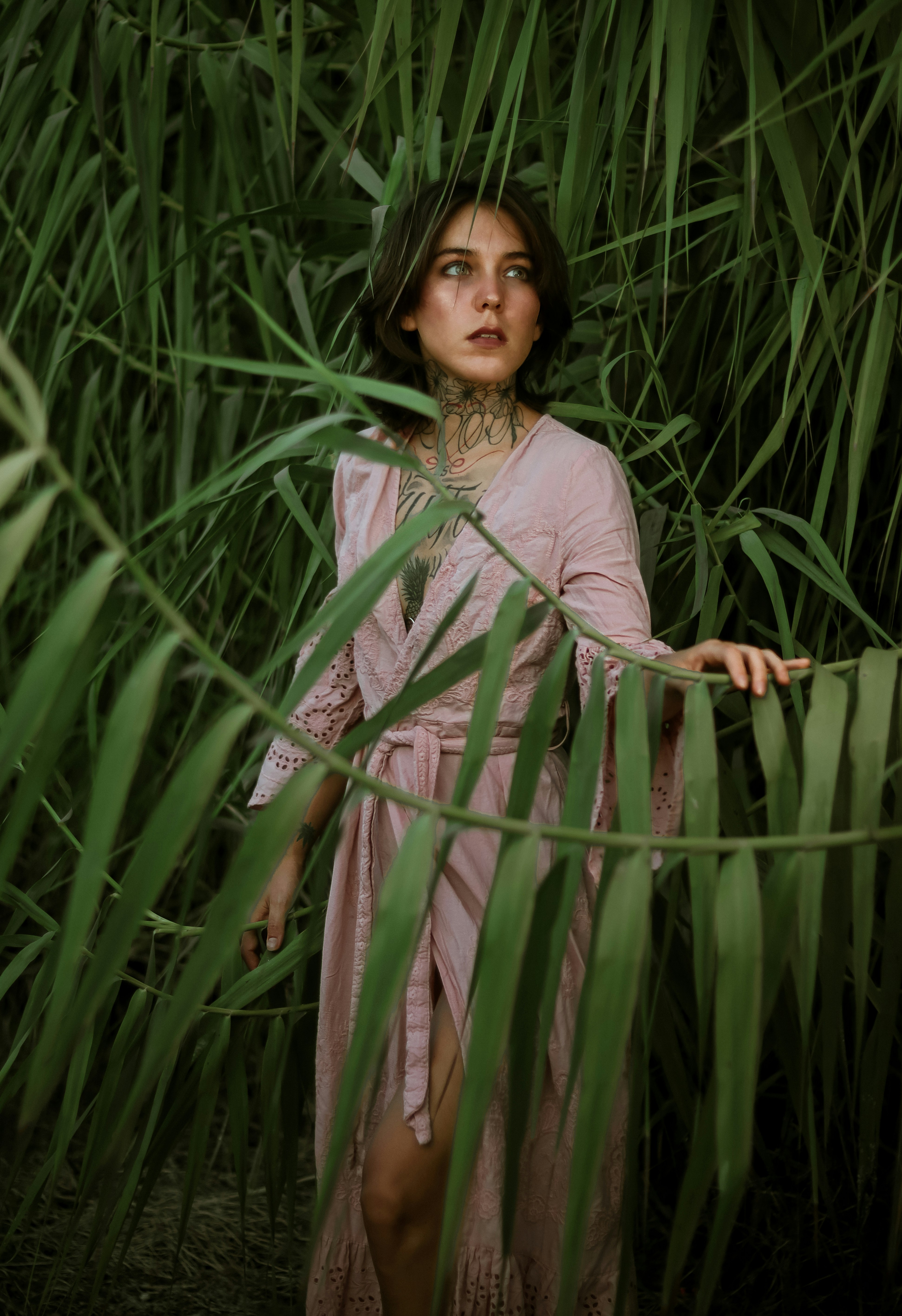 Photo by juancarlos55251