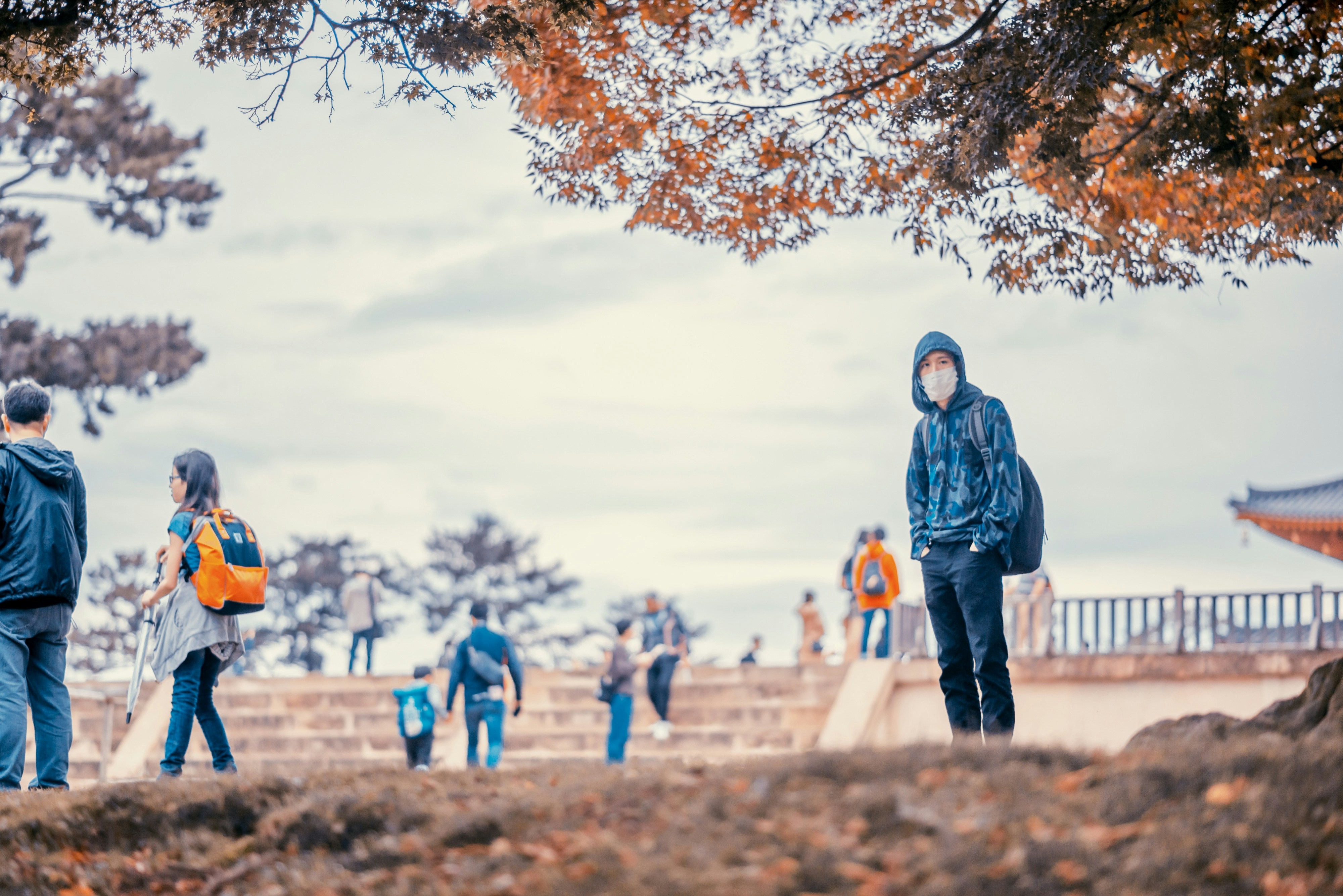 Photo by vincent_tint