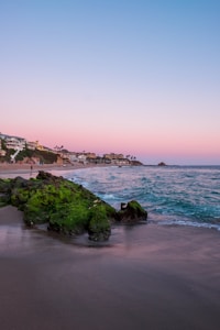 Shellharbour Coastal Canvas