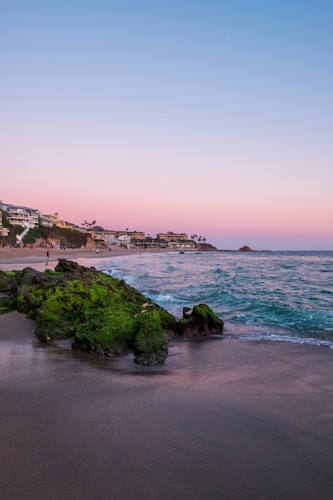 A serene beach scene with gentle waves lapping against the shore. Moss-covered rocks in the foreground add a touch of vibrant green, contrasting with the soft hues of a sunset sky transitioning from pink to blue. Coastal homes and palm trees line the shoreline to the left, creating a peaceful coastal view.