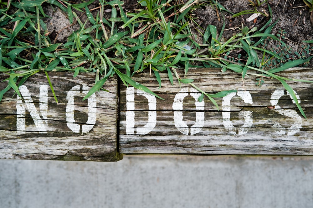 white and black wooden signage