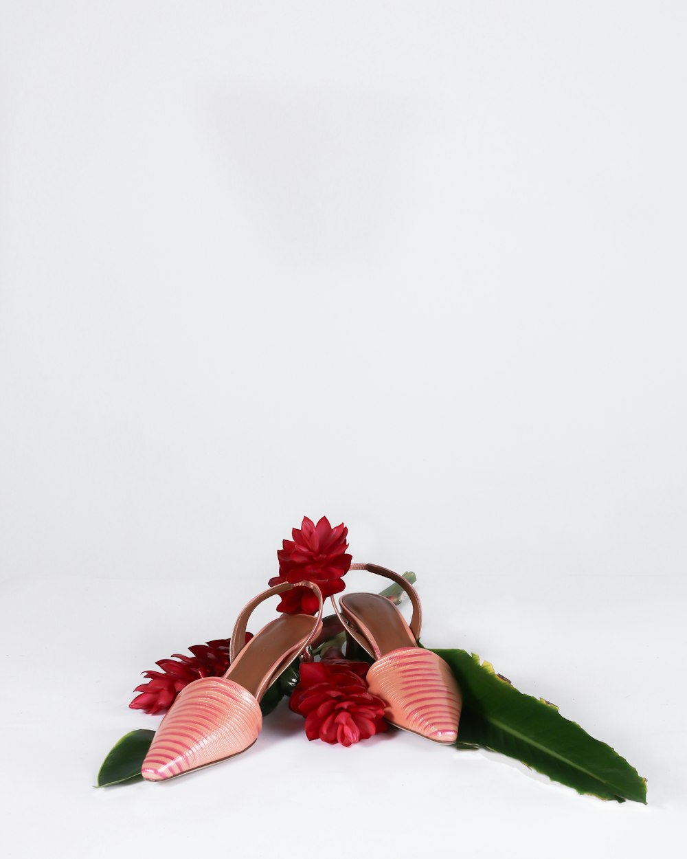 pink and white flower on white surface