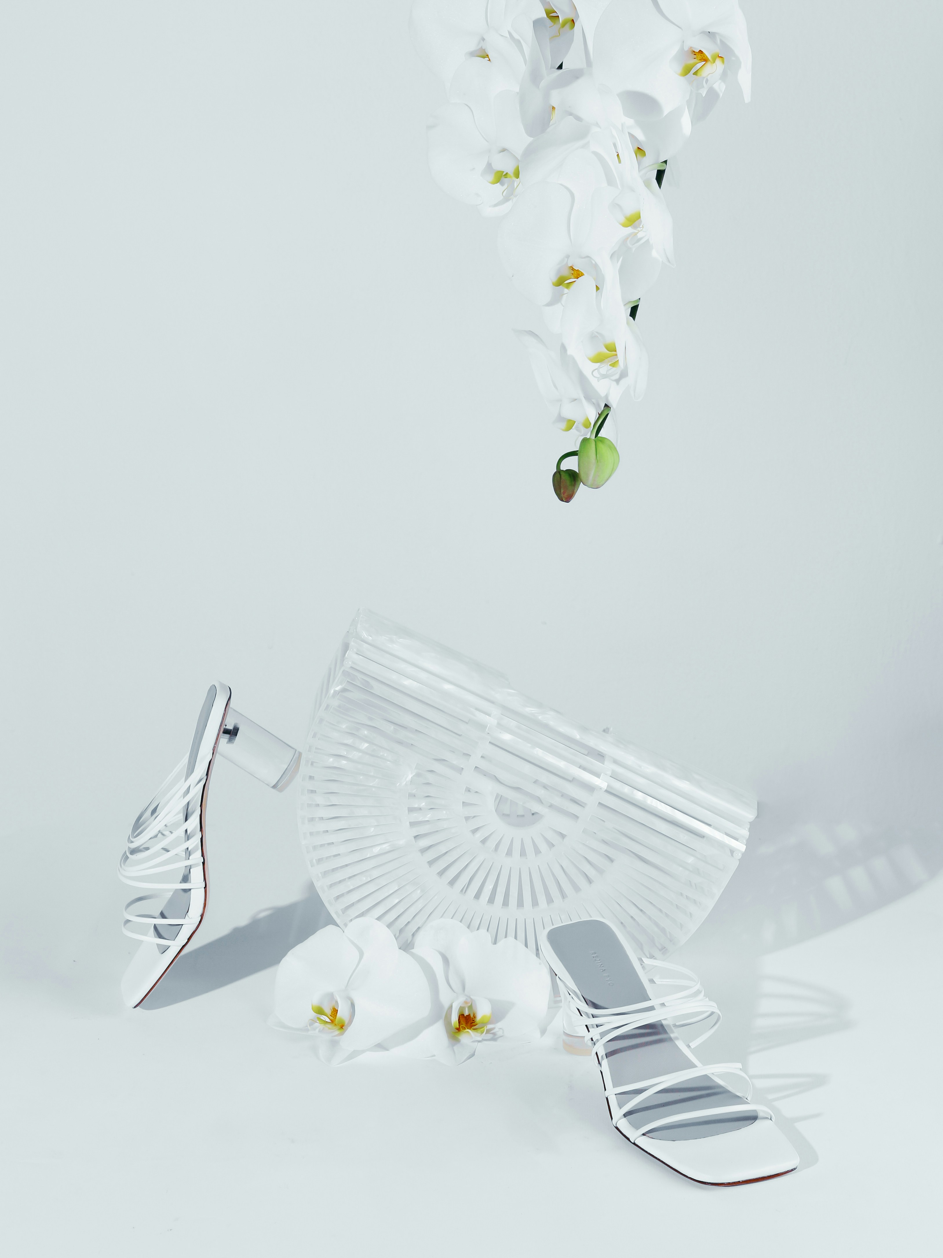 white and yellow flower bouquet beside white and yellow flower