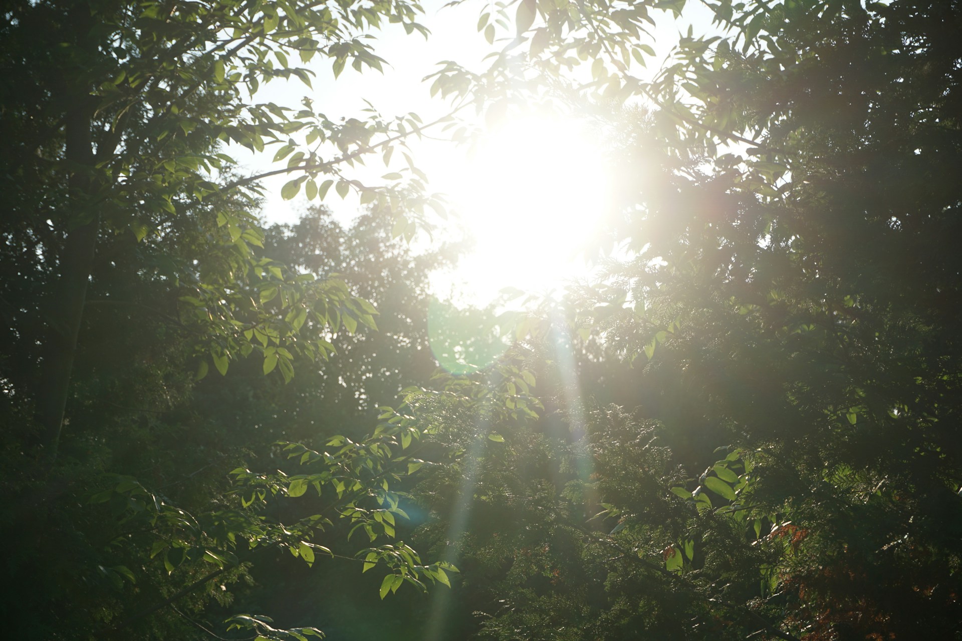 woman wearing yellow long-sleeved dress under white clouds and blue sky during daytime
