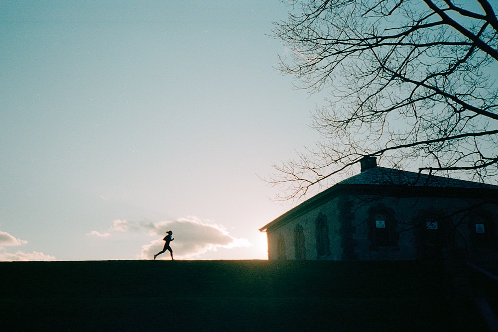 person walking on road near bare tree during daytime