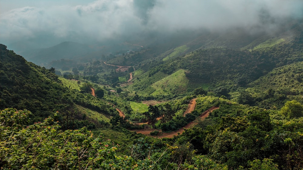 green trees on mountain during daytime