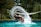 woman in swimming pool during daytime
