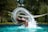 woman in swimming pool during daytime