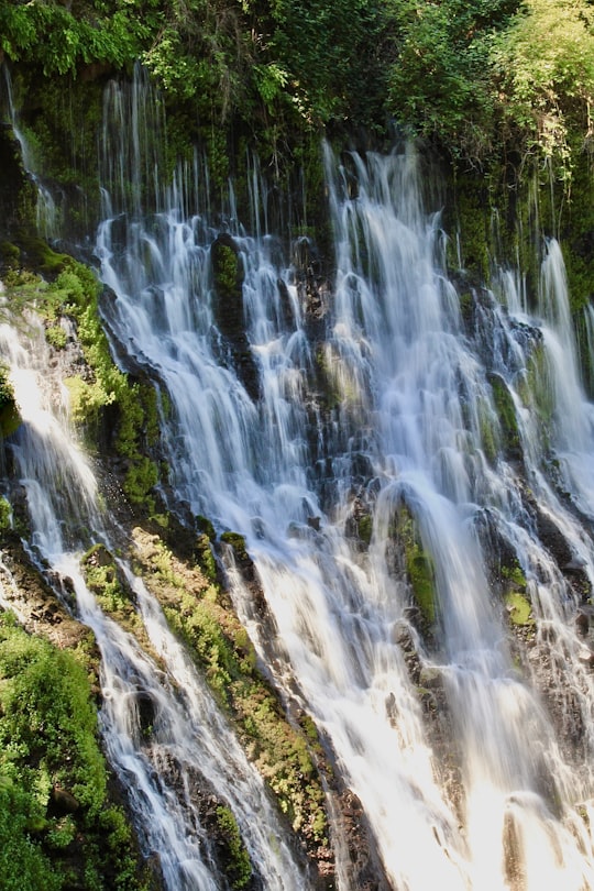 water falls in the middle of green grass field in McArthur-Burney Falls Memorial State Park, Burney Falls United States