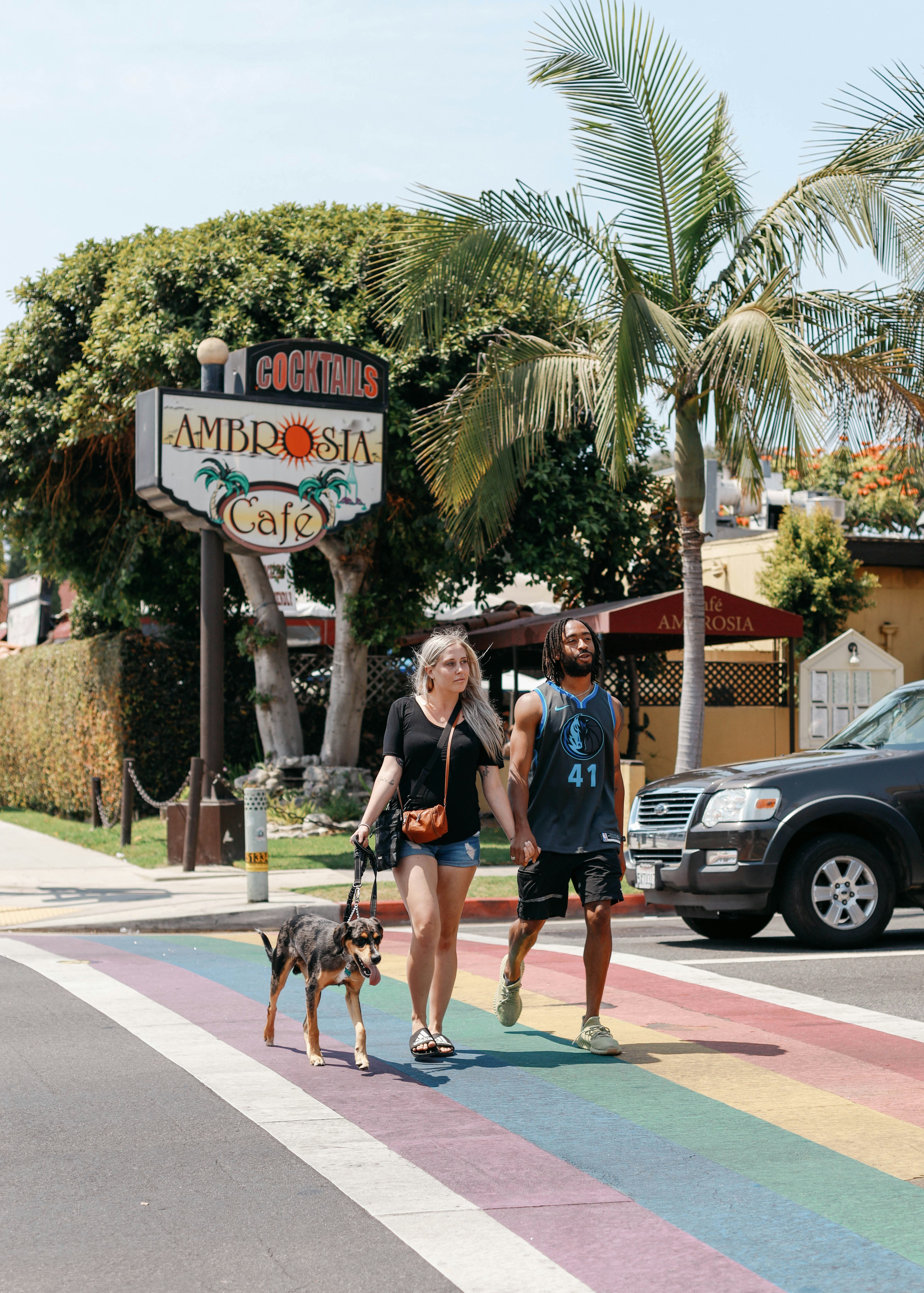 Two gay men walking their dogs together on Wilton Drive with rainbow crosswalk and pride decorations