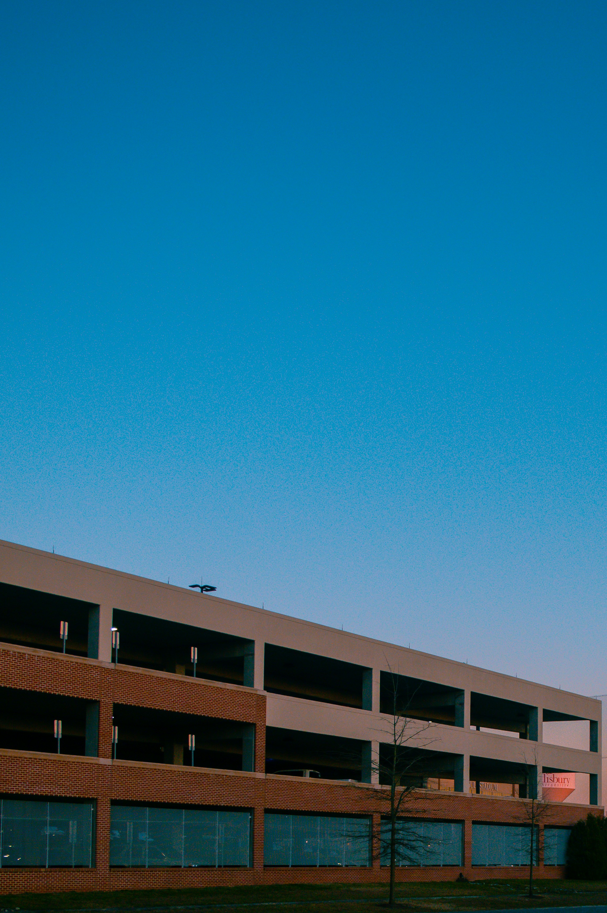 brown wooden fence under blue sky during daytime
