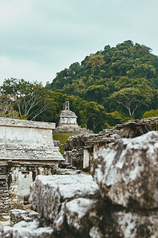 ruins with forest 
