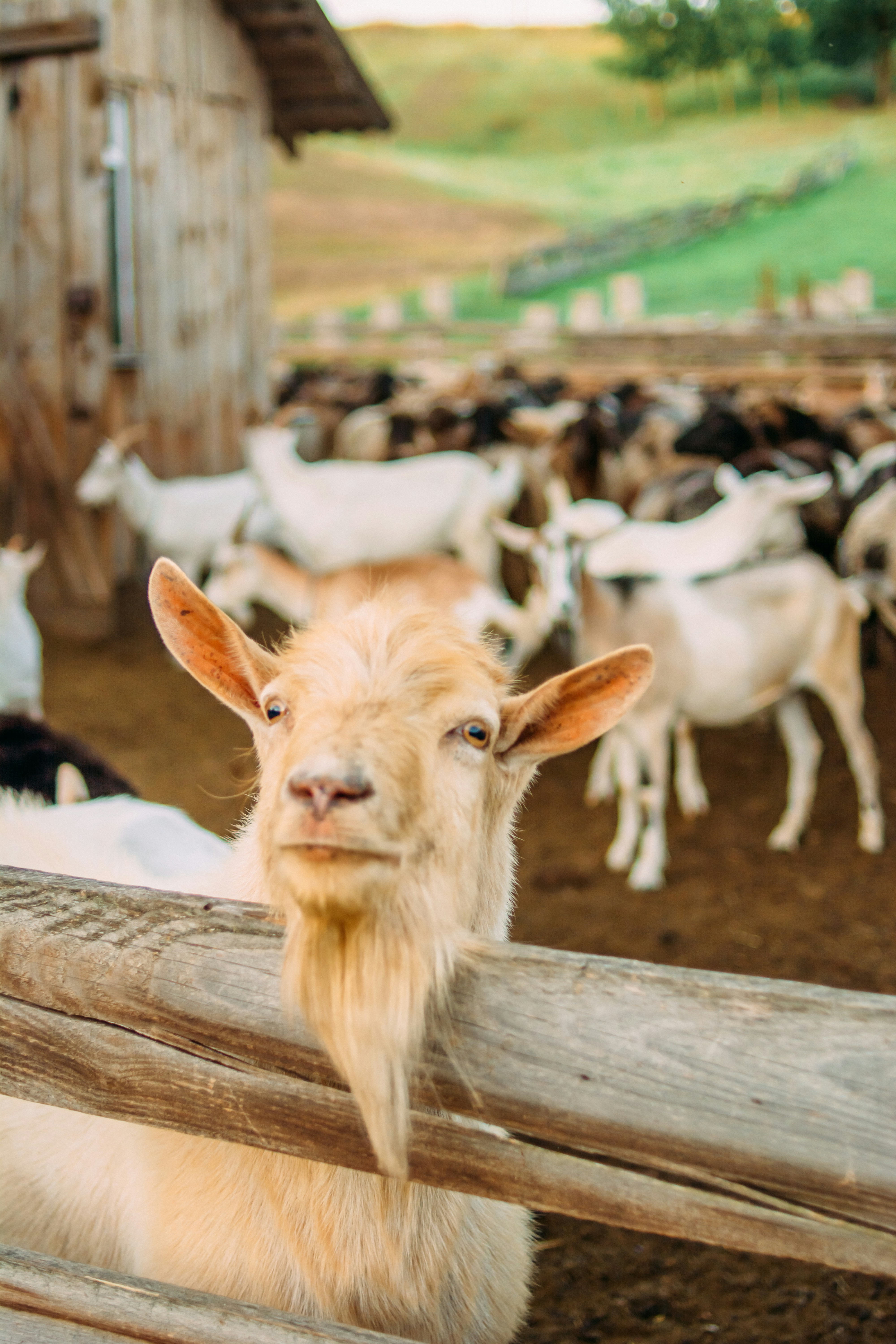 Photo by eugenivy_now