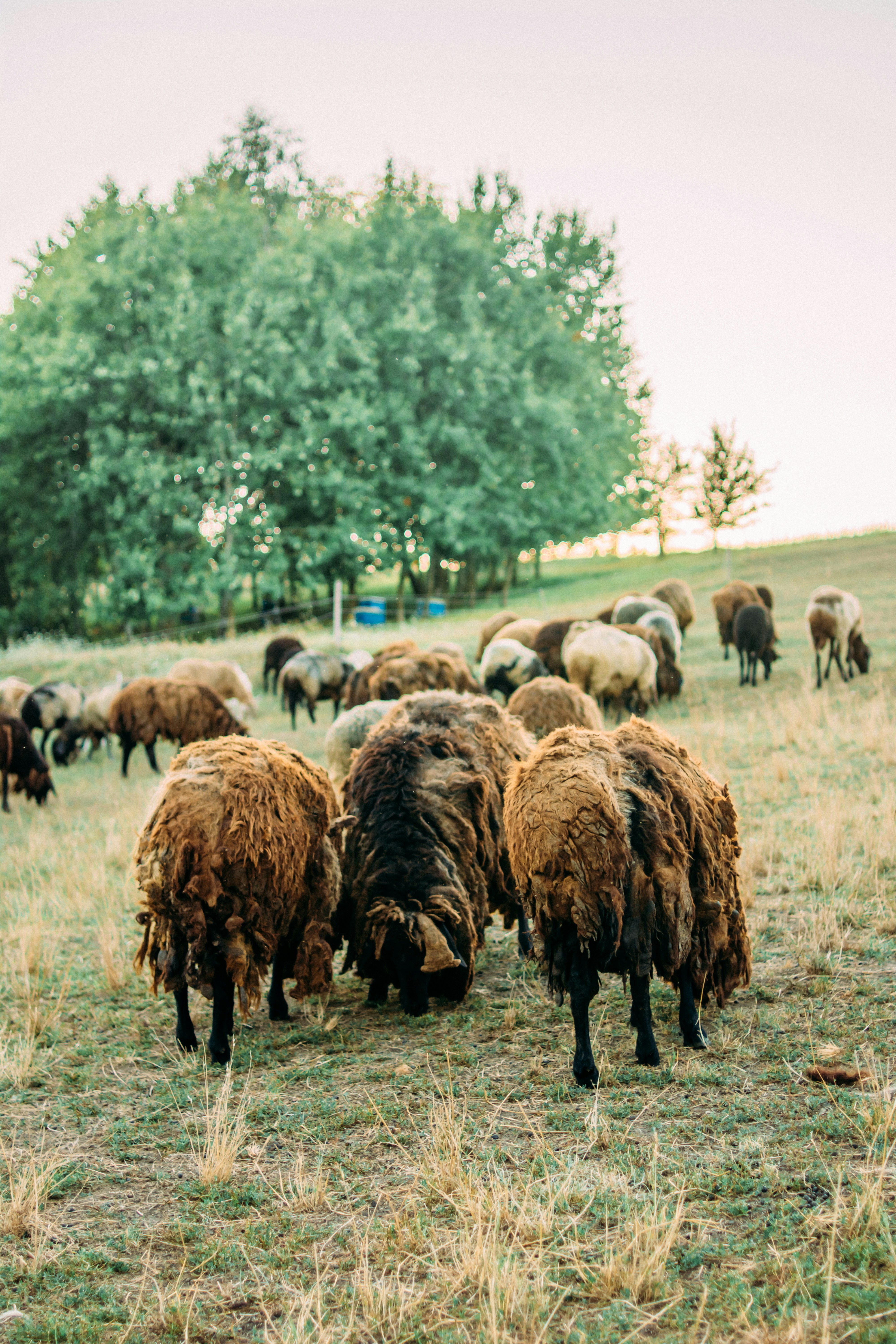 Photo by eugenivy_now