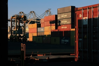 Stacks of colorful shipping containers at a busy port with cranes in the background.