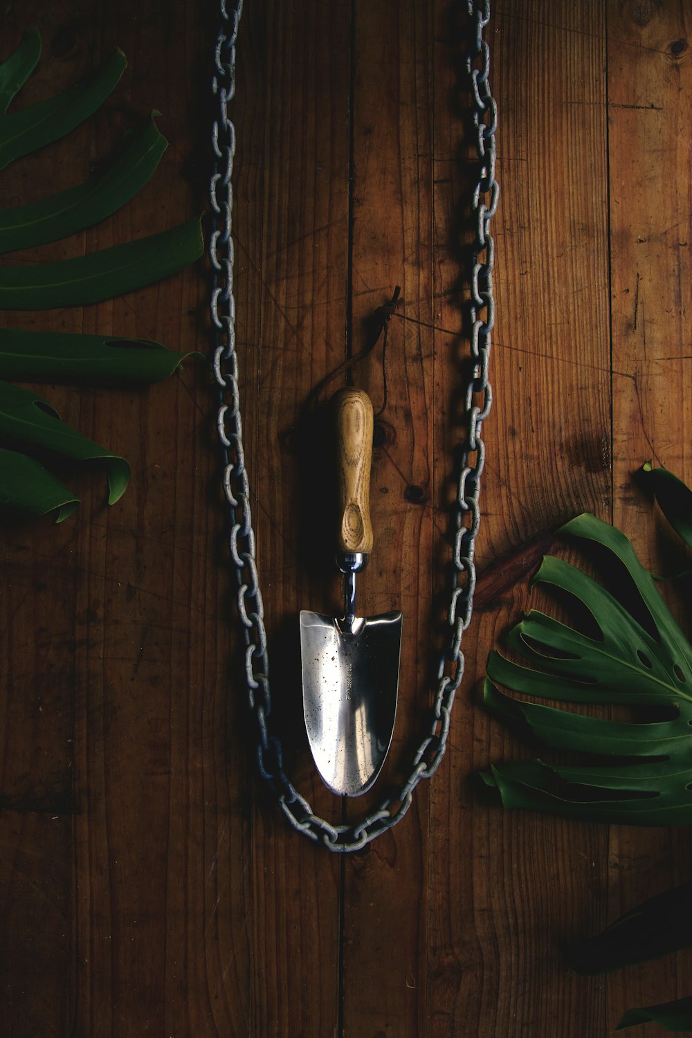 collana con ciondolo a cuore in argento su superficie in legno marrone