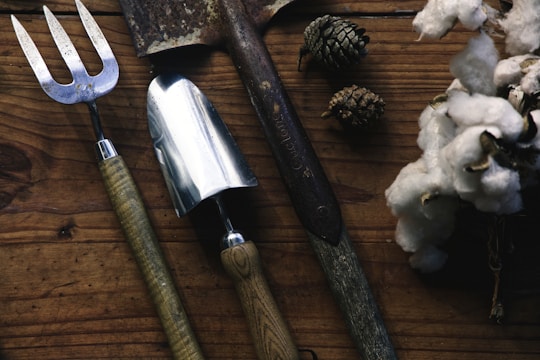 A set of garden tools including a fork, a spade, and a trowel are laid out on a rustic wooden surface. Nearby, there are pine cones and a bunch of white cotton flowers, adding a natural and earthy feel to the composition.