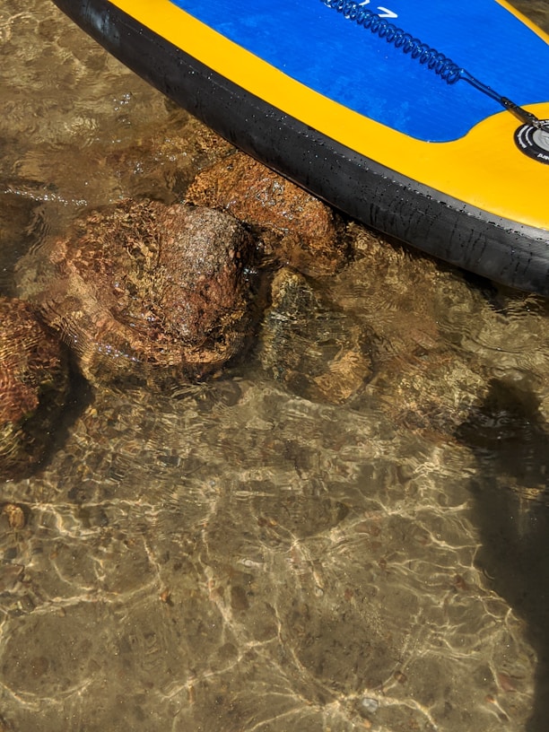 Close-up of a vibrant electric paddleboard catamaran gliding smoothly over clear blue water near a sandy beach.