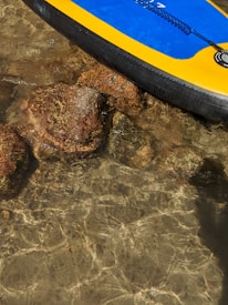 A brightly colored paddleboard with yellow, blue, and black sections floats on clear, shallow water with visible rocks beneath the surface.