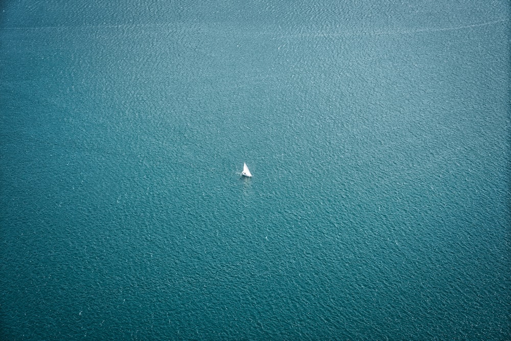 昼間の青い海に浮かぶ白い船