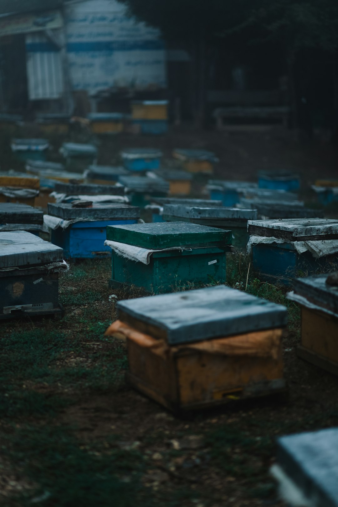 blue and brown wooden boxes