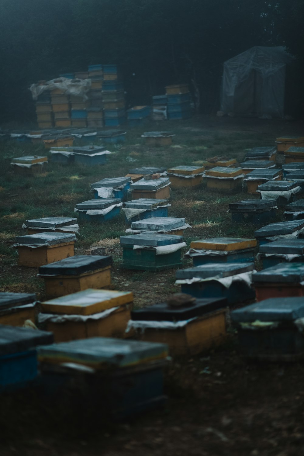 brown and white wooden boxes