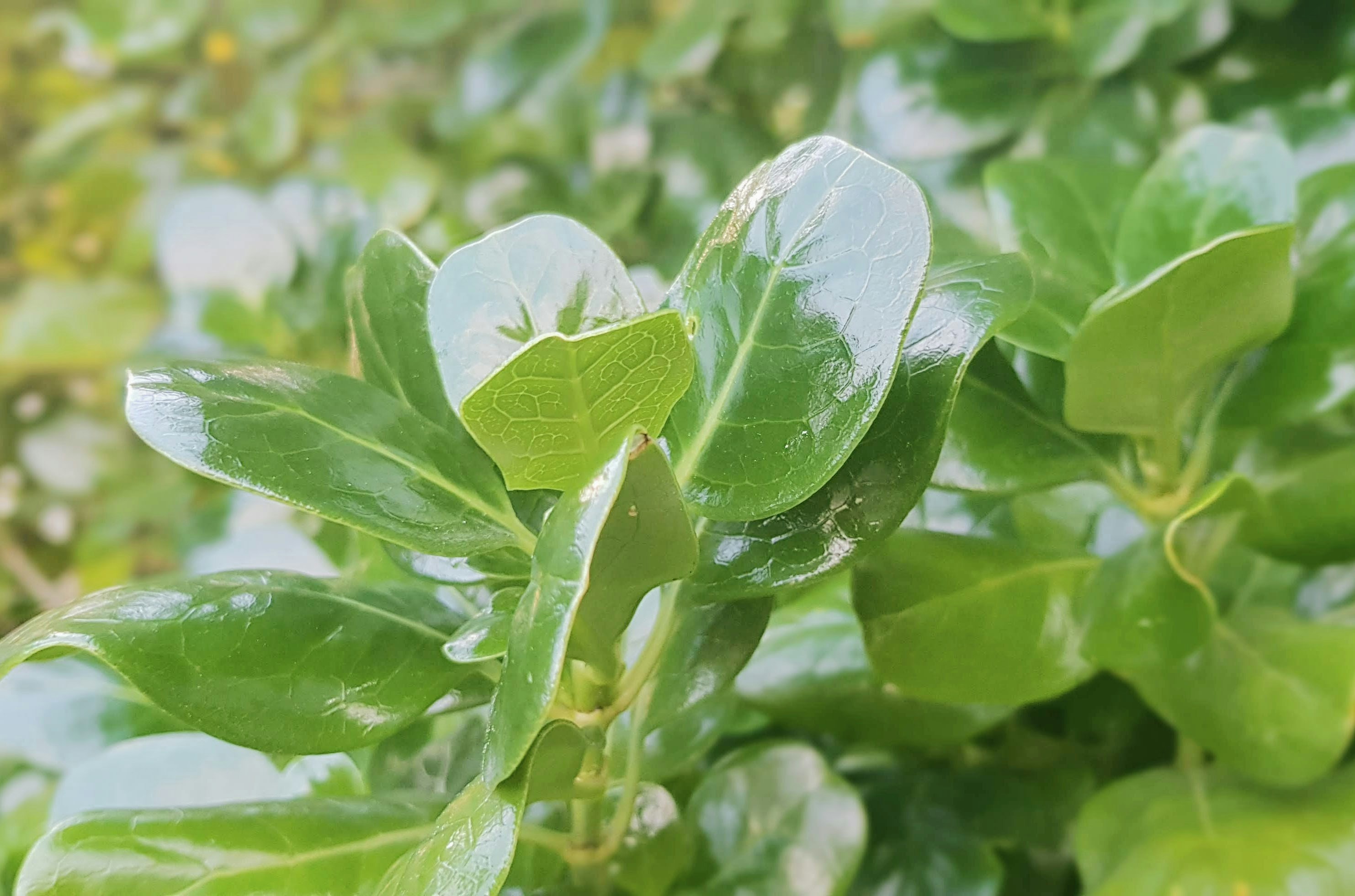 Photo by bethanyzwag