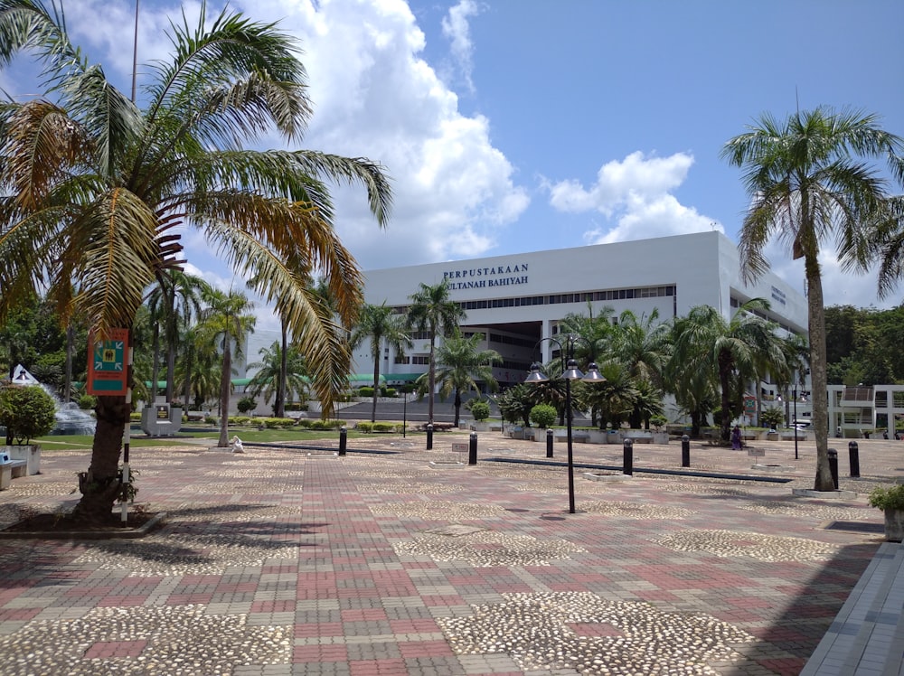 white concrete building near palm trees during daytime