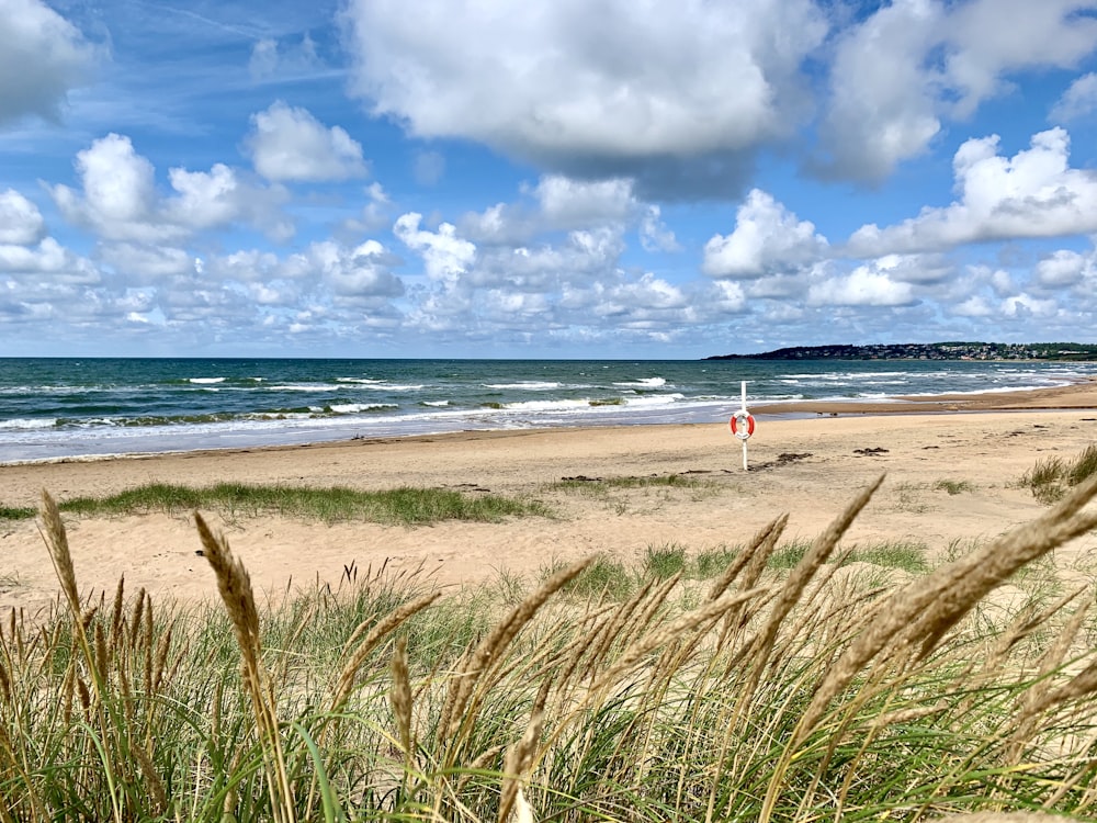 Person im roten Hemd tagsüber am Strand spazieren