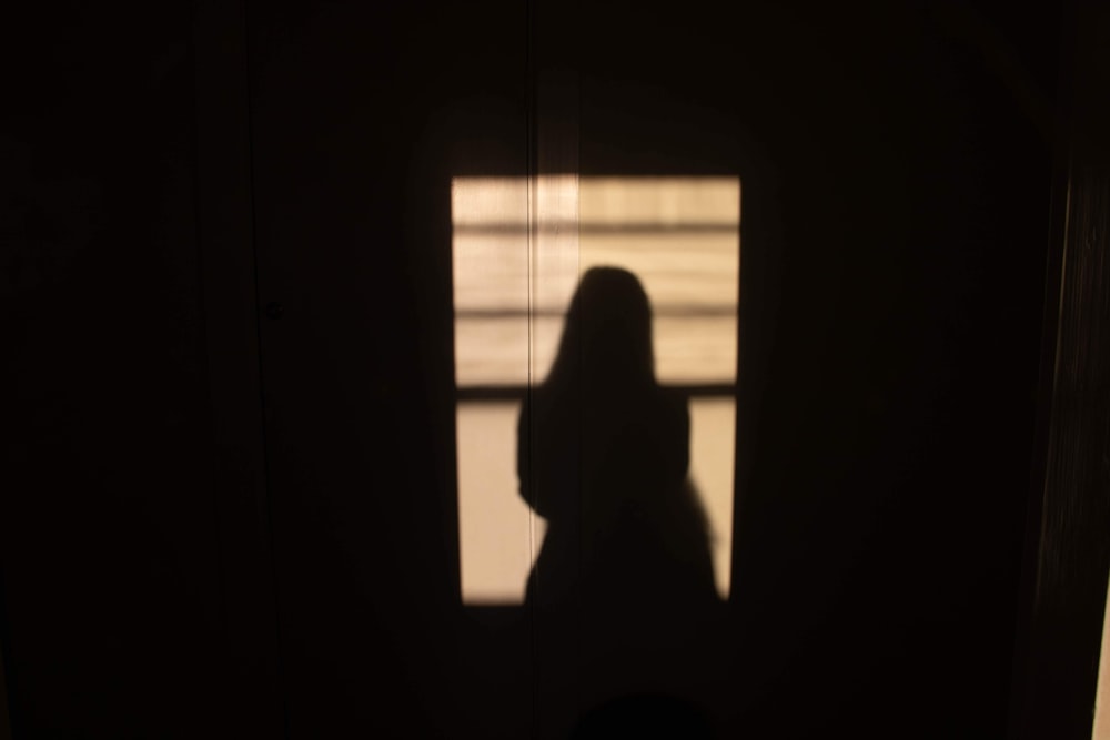silhouette of person sitting on window
