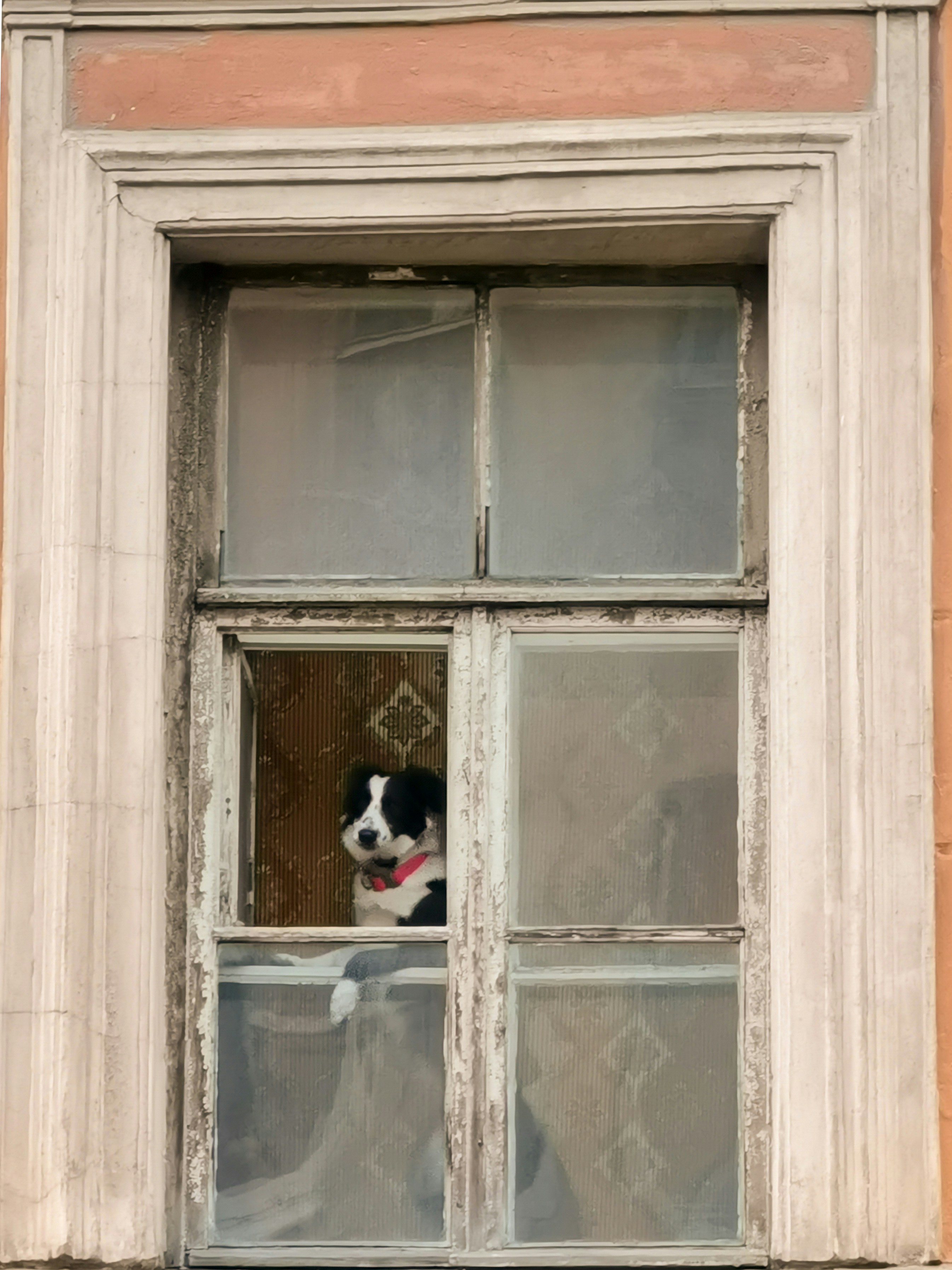 white wooden framed glass window
