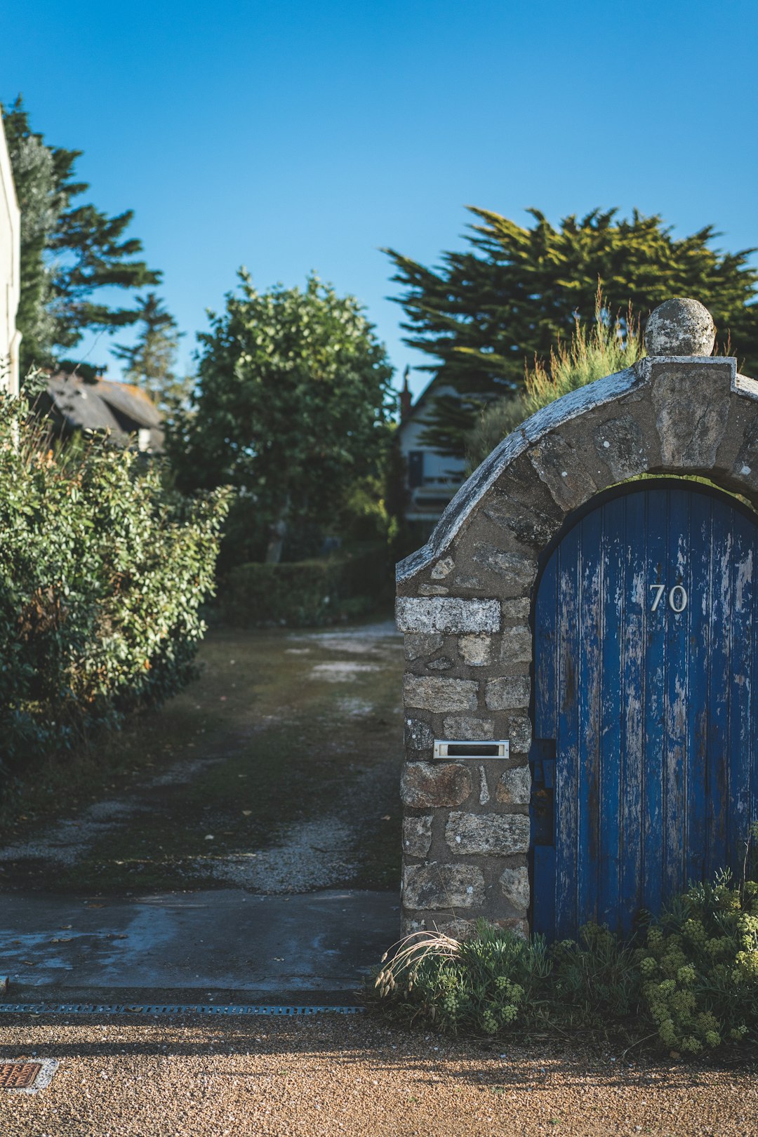 blue wooden door near green plants during daytime