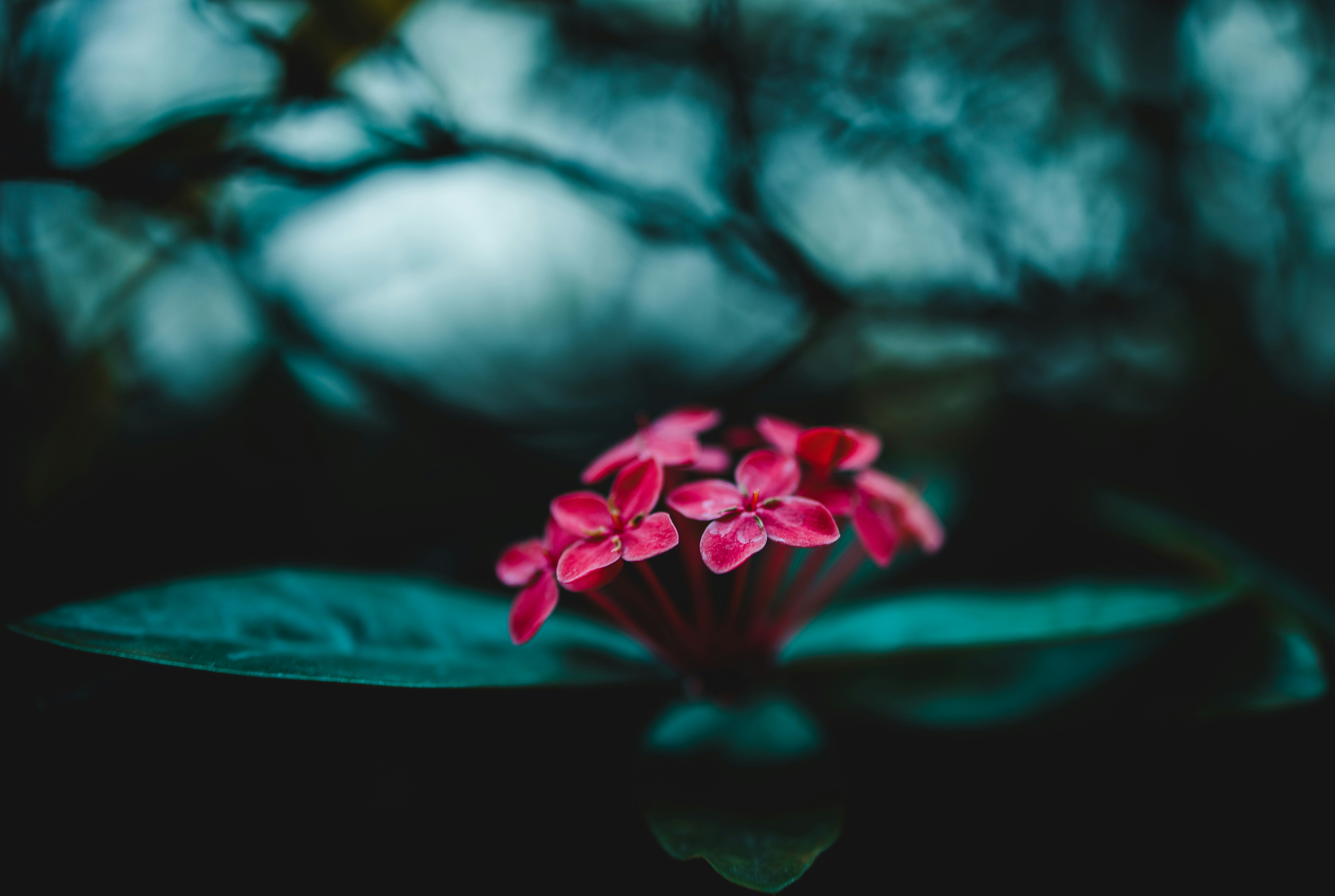 Photo by michael_marais