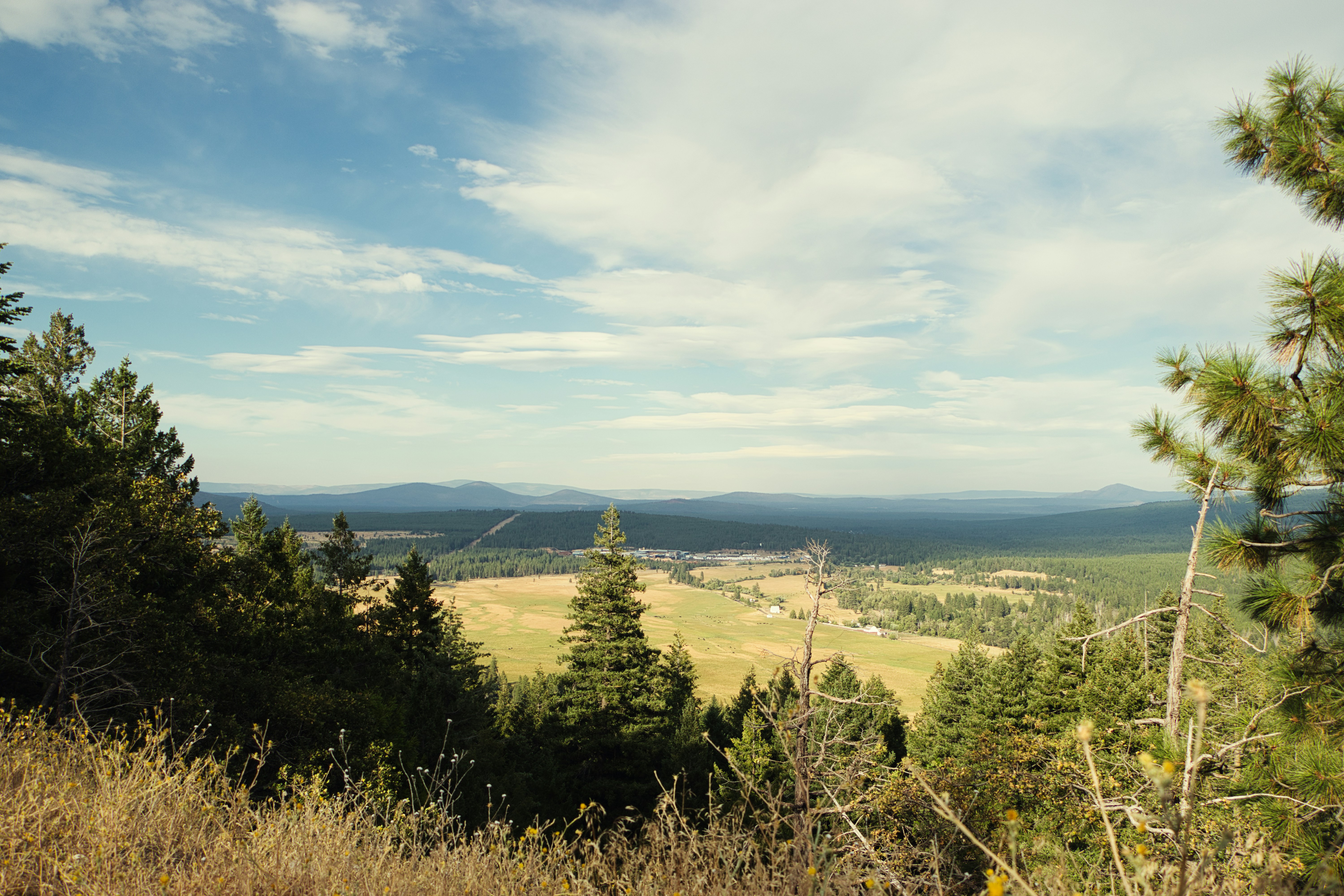Wyndam Ranch Park