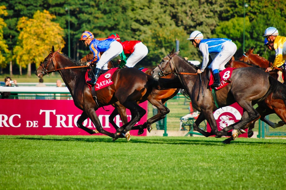 people riding horses on green grass field during daytime