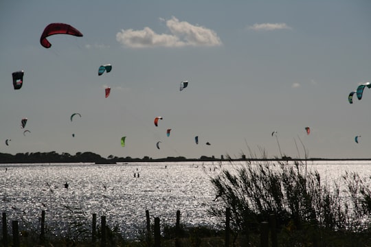 birds flying over the sea during daytime in Marsala Italy
