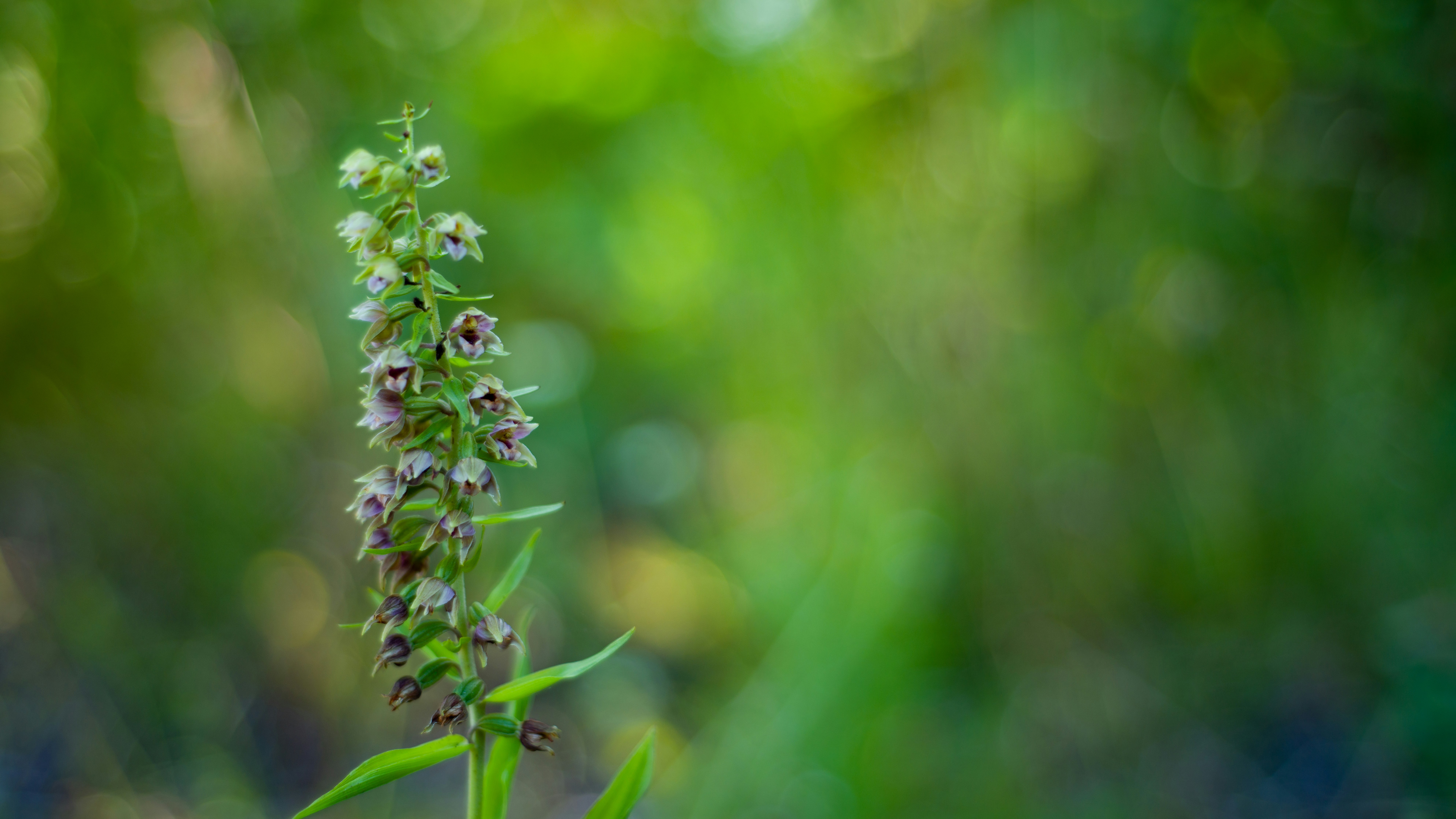 Photo by guillaumelobet