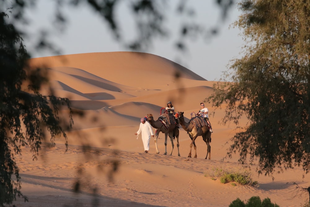 persone che cavalcano il cammello sul deserto durante il giorno