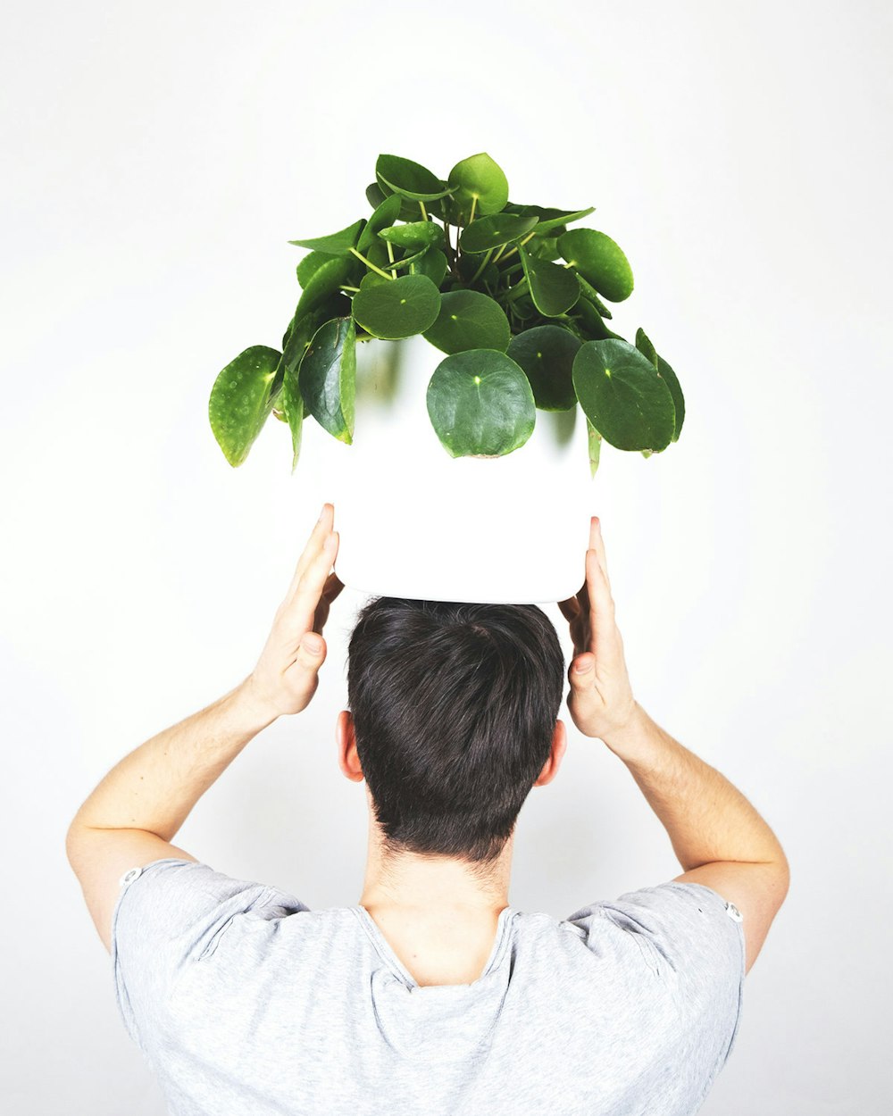 man in gray button up shirt holding green plant