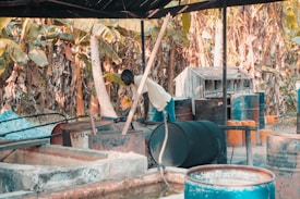 A person is engaged in work within an outdoor setting, surrounded by barrels and makeshift structures. The background is filled with large banana leaves and trees, indicating a tropical location. The metal drums and wooden constructions suggest an industrial or workshop environment.