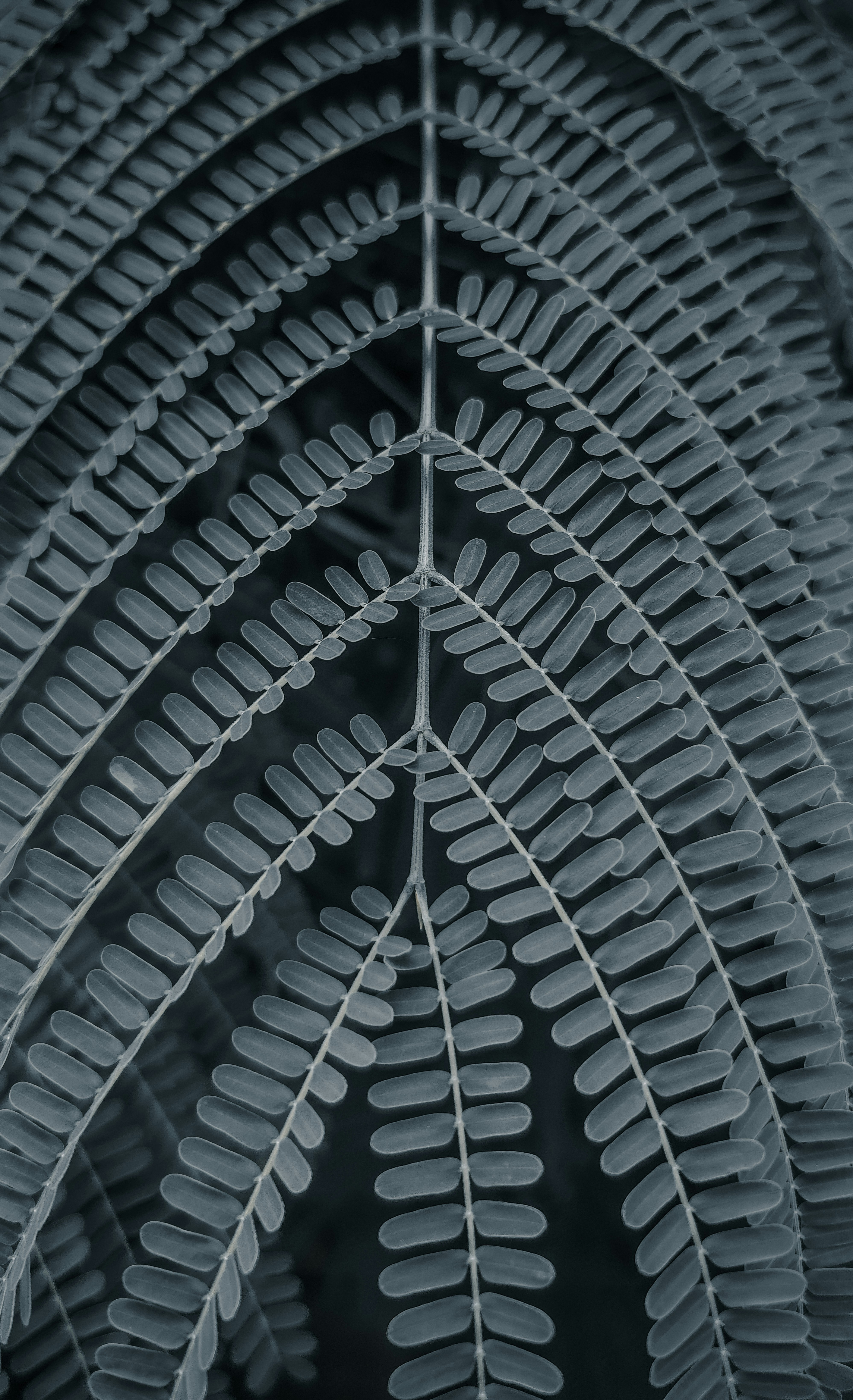 Photo by avishpratap