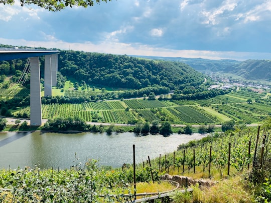 green trees near body of water under white clouds during daytime in Autobahnraststätte Aussichtspunkt Moseltal West Germany