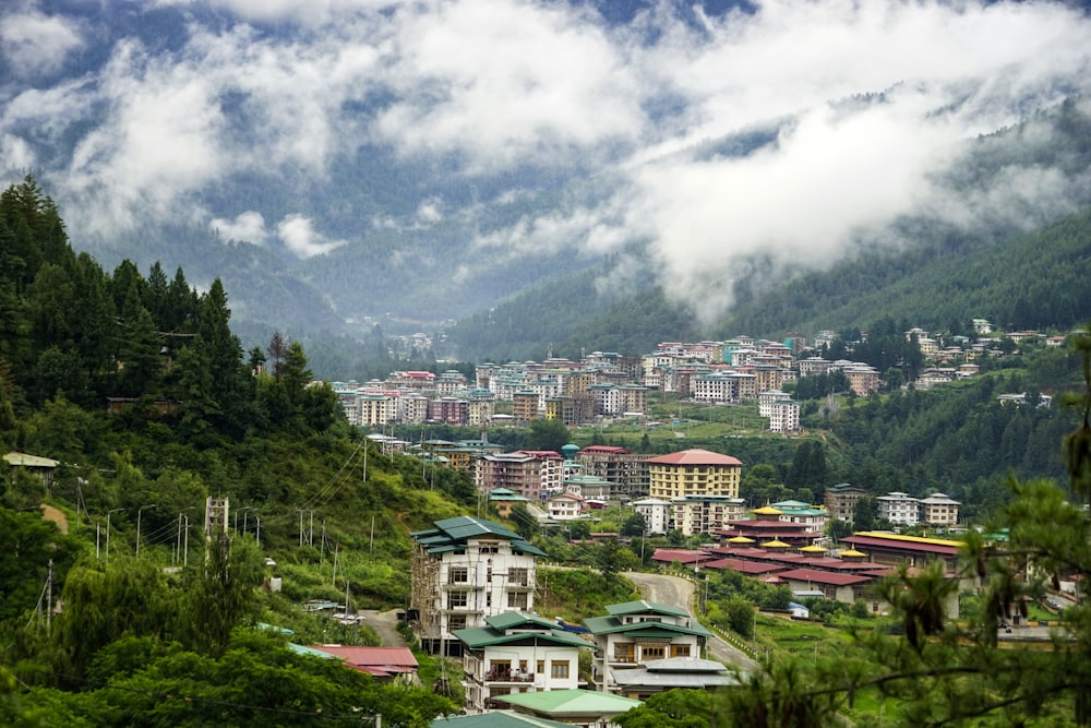 white and brown concrete houses near green trees under white clouds during daytime