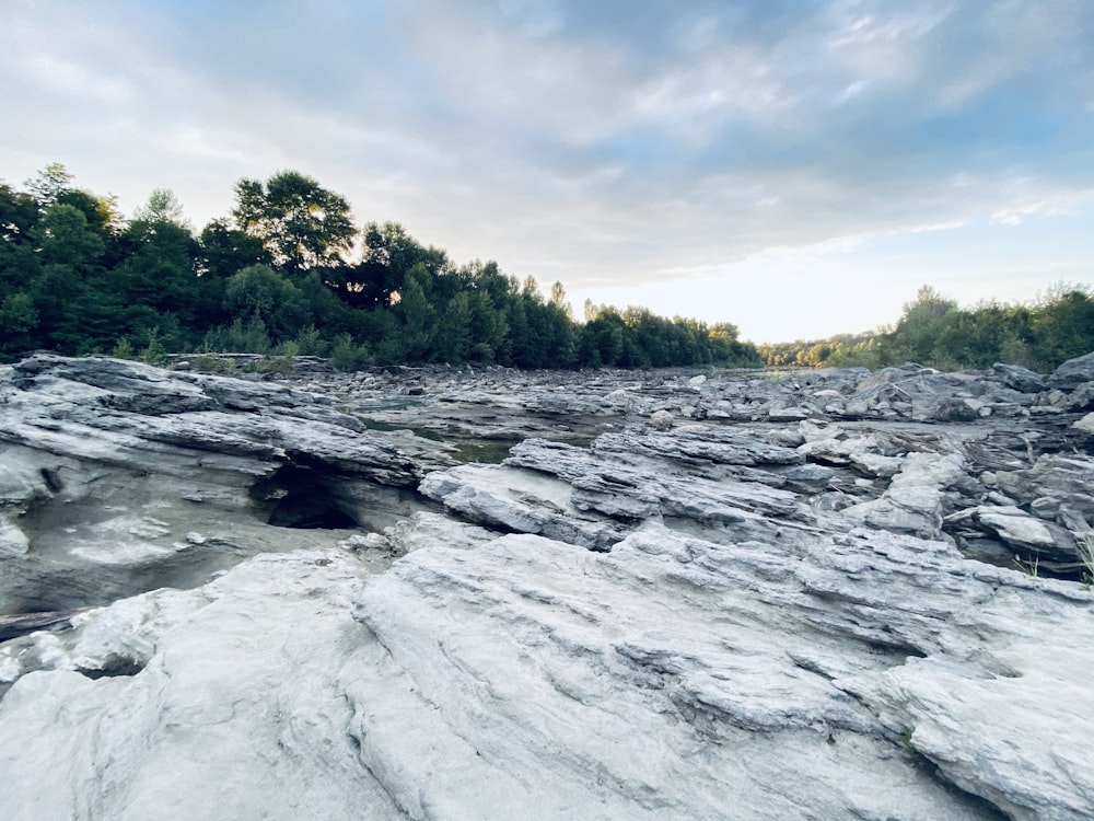 a rocky landscape with trees in the background