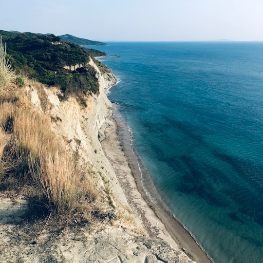 brown and green grass near body of water during daytime in Durrës County Albania